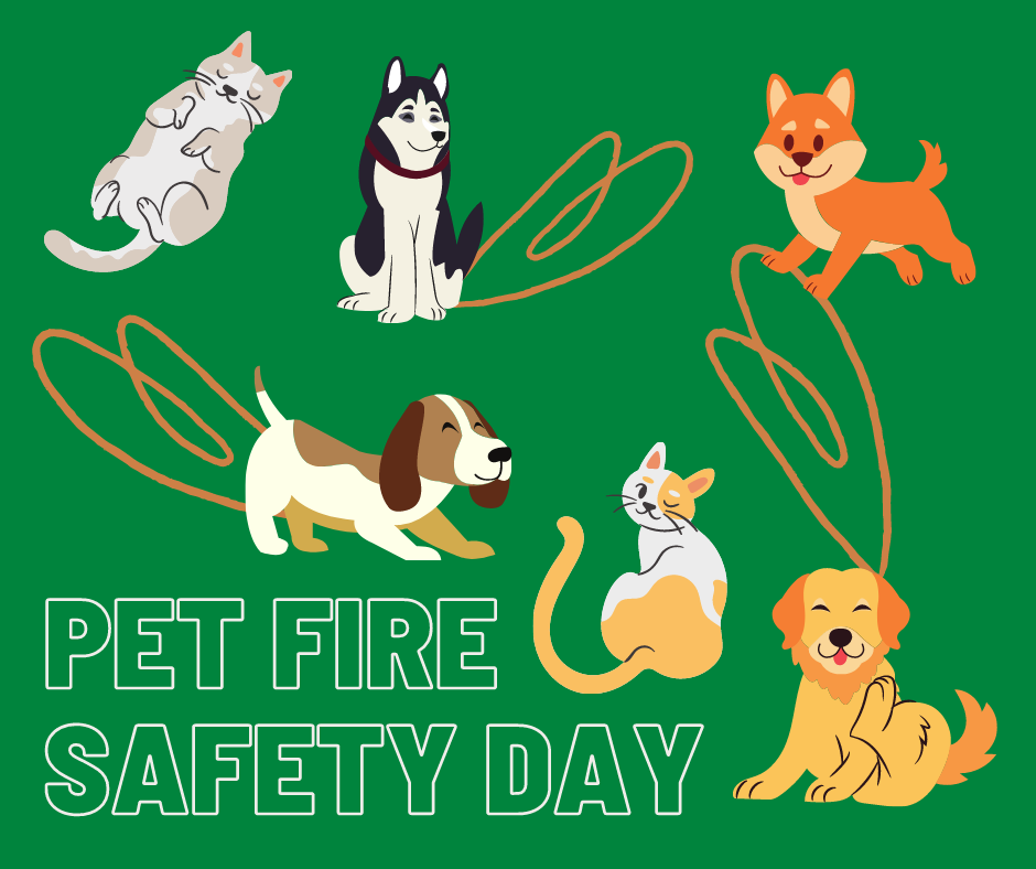 II. Importance of Campfire Safety for Pet Owners