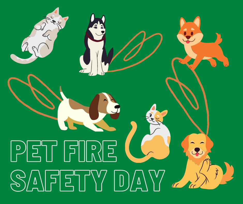 National Pet Fire Safety Day is held every July 15th